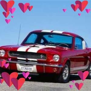 Meet your Posher, Barbara